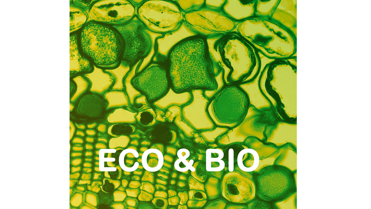 Visuel BIOTECH